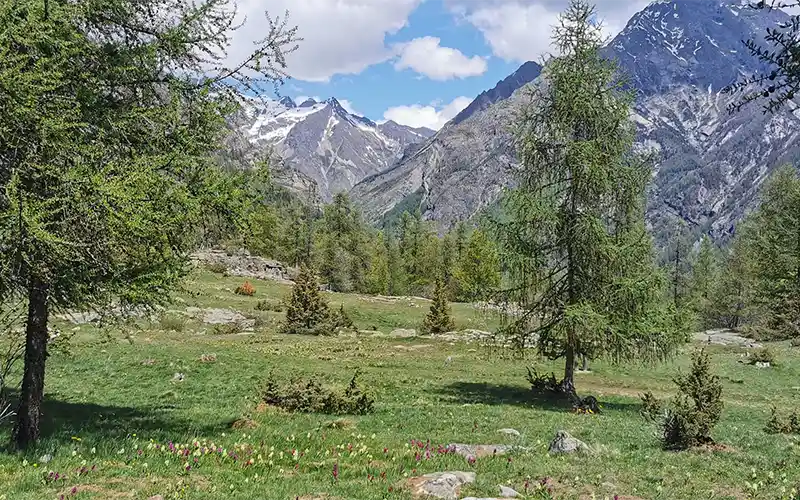 paysage montagne Parc des Ecrins